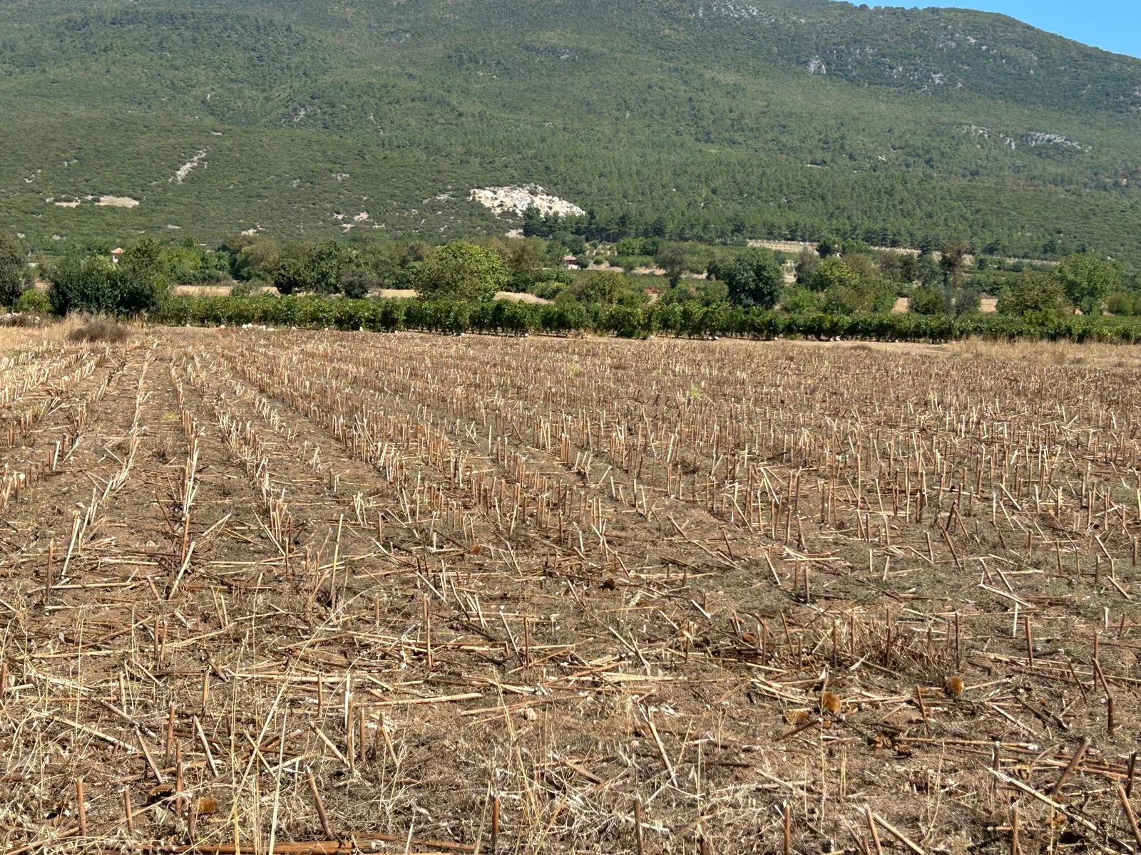 Erbaa Doğanyurt köyünde Satılık  tarla - Resim 6