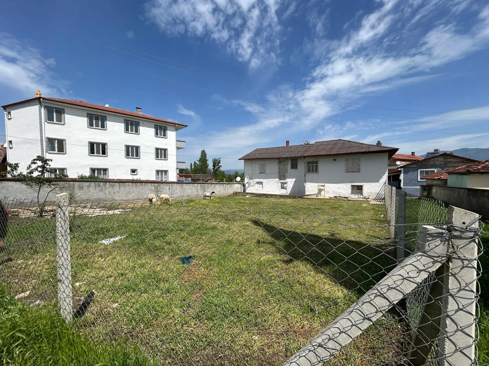 ERBAA/EVYABA MAHALLESİNDE 364 M2 ARSA İÇİNDE MÜSTAKİL EV - Resim 7