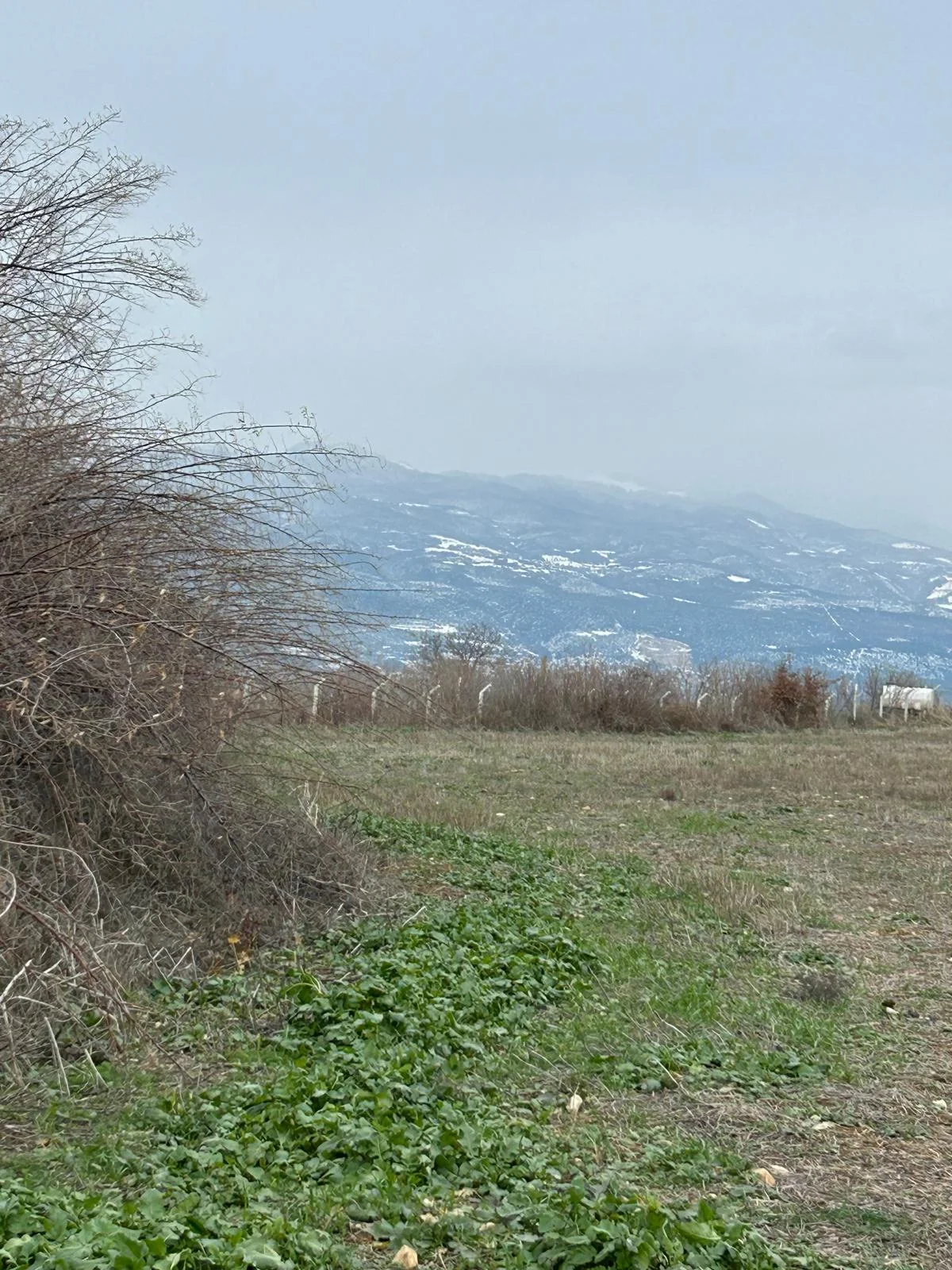 Tokat Erbaa Yeni Mahalle  kül farı Mevkiinde 6377 M2 Satılık tarla - Resim 19